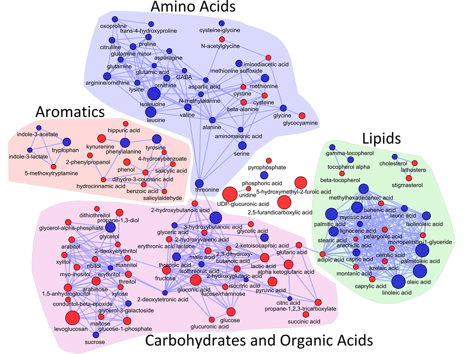 biological network